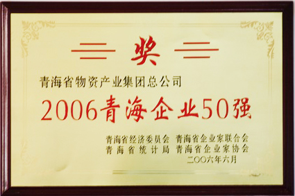 2006青海企業(yè)50強(qiáng)